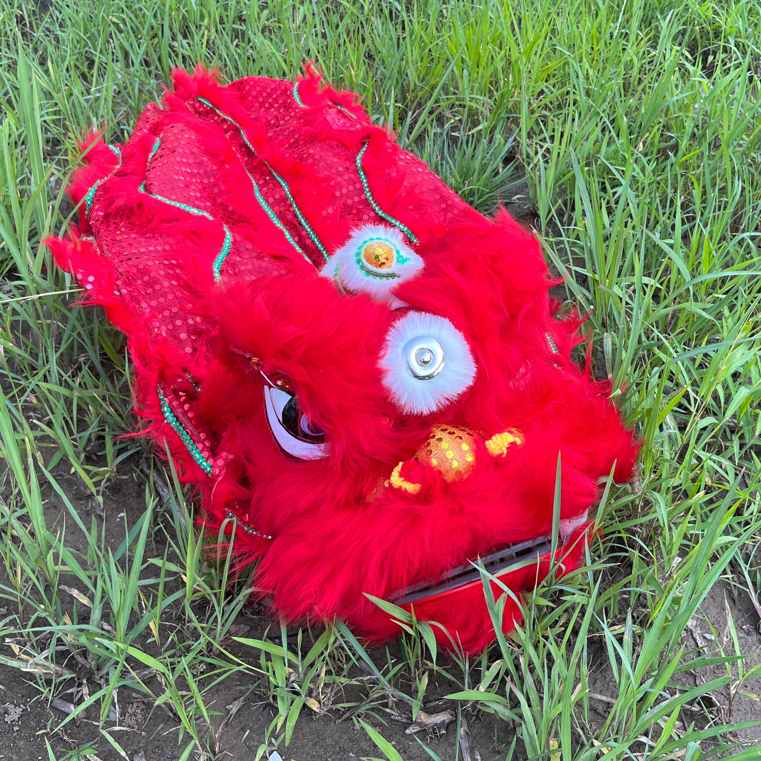 14 inch Lion Dance Costume  Ro - Outdoor Sport Festival review and price